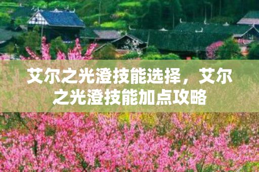 艾尔之光澄技能选择，艾尔之光澄技能加点攻略