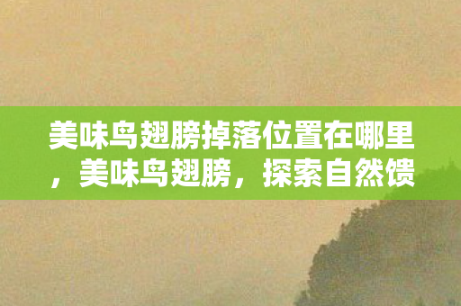 美味鸟翅膀掉落位置在哪里，美味鸟翅膀，探索自然馈赠的珍馐美味