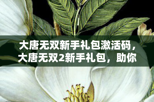 大唐无双新手礼包激活码，大唐无双2新手礼包，助你快速启程的秘籍