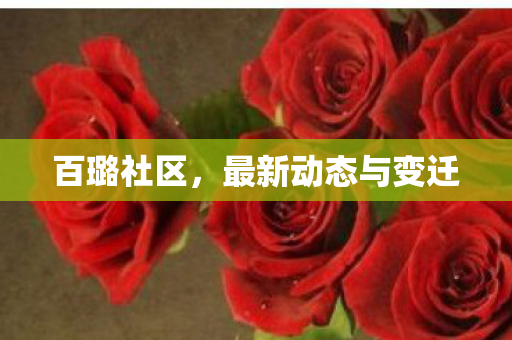 百璐社区,最新动态与变迁 百璐社区,最新动态与变迁