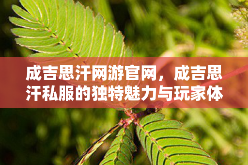 成吉思汗网游官网,成吉思汗私服的独特魅力与玩家体验 成吉思汗网游官网,成吉思汗私服的独特魅力与玩家体验