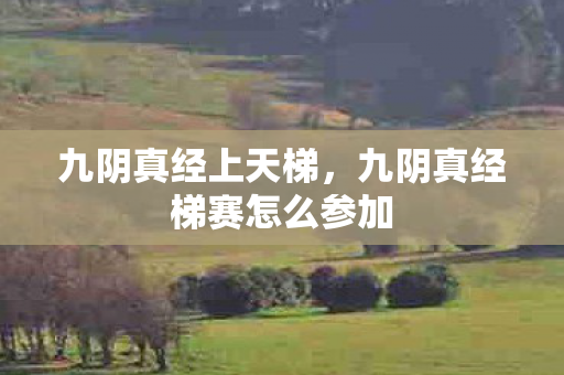 九阴真经上天梯，九阴真经梯赛怎么参加