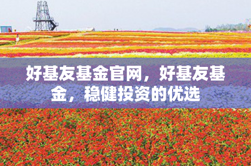 好基友基金官网，好基友基金，稳健投资的优选