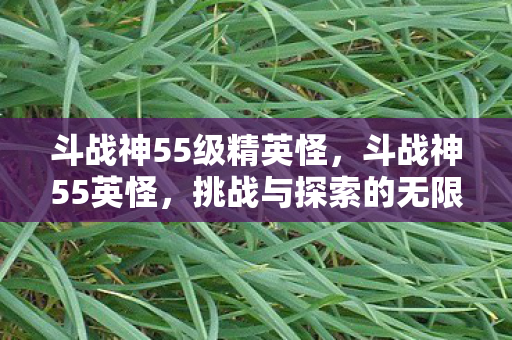 斗战神55级精英怪,斗战神55英怪,挑战与探索的无限可能 斗战神55级精英怪,斗战神55英怪,挑战与探索的无限可能