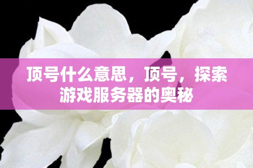 顶号什么意思，顶号，探索游戏服务器的奥秘