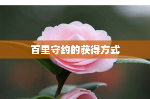 百里守约的获得方式 百里守约的获得方式