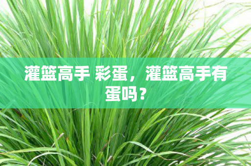 灌篮高手 彩蛋,灌篮高手有蛋吗? 灌篮高手 彩蛋,灌篮高手有蛋吗?