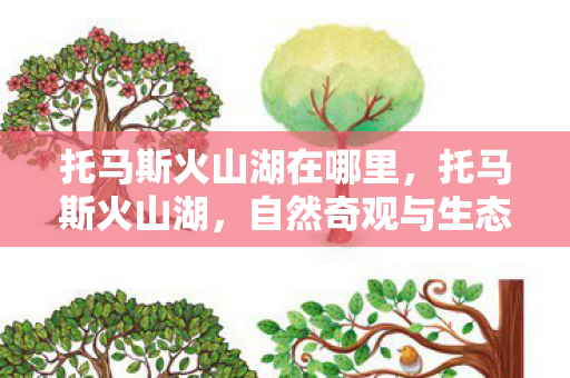 托马斯火山湖在哪里，托马斯火山湖，自然奇观与生态保护的和谐共生