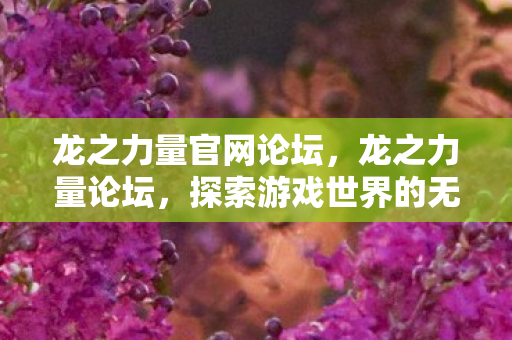 龙之力量官网论坛，龙之力量论坛，探索游戏世界的无限可能