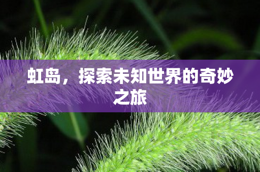 虹岛,探索未知世界的奇妙之旅 虹岛,探索未知世界的奇妙之旅