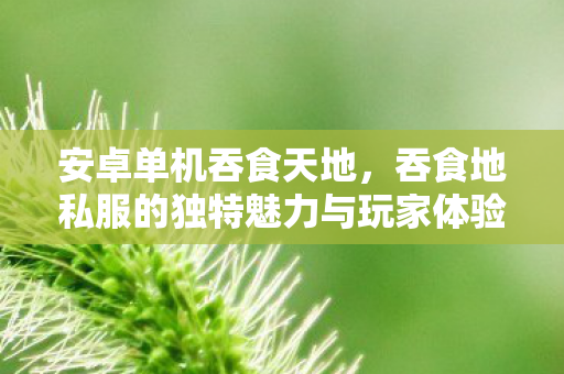 安卓单机吞食天地，吞食地私服的独特魅力与玩家体验