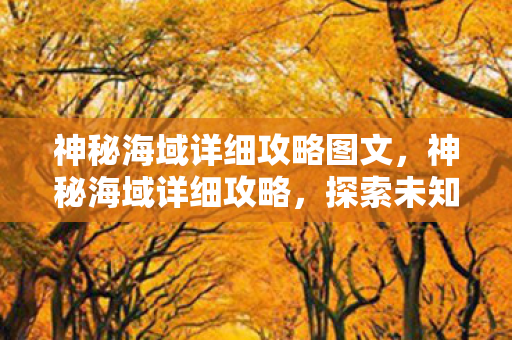 神秘海域详细攻略图文,神秘海域详细攻略,探索未知海域的终极指南 神秘海域详细攻略图文,神秘海域详细攻略,探索未知海域的终极指南