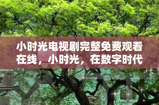 小时光电视剧完整免费观看在线,小时光,在数字时代中记录生活的点滴 小时光电视剧完整免费观看在线,小时光,在数字时代中记录生活的点滴