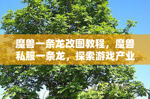 魔兽一条龙改图教程,魔兽私服一条龙,探索游戏产业背后的秘密 魔兽一条龙改图教程,魔兽私服一条龙,探索游戏产业背后的秘密