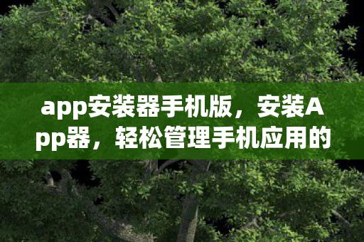 app安装器手机版,安装App器,轻松管理手机应用的利器 app安装器手机版,安装App器,轻松管理手机应用的利器