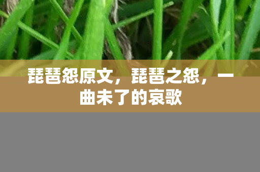 琵琶怨原文，琵琶之怨，一曲未了的哀歌