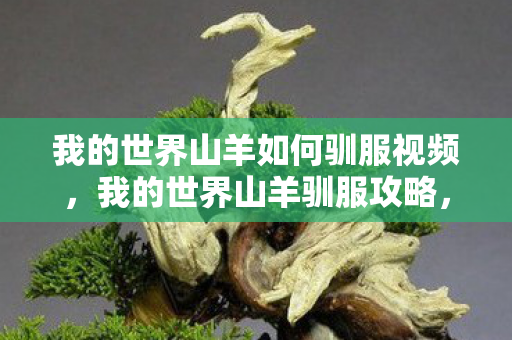 我的世界山羊如何驯服视频,我的世界山羊驯服攻略,打造和谐共存的草原家园 我的世界山羊如何驯服视频,我的世界山羊驯服攻略,打造和谐共存的草原家园