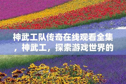 神武工队传奇在线观看全集,神武工,探索游戏世界的奥秘 神武工队传奇在线观看全集,神武工,探索游戏世界的奥秘