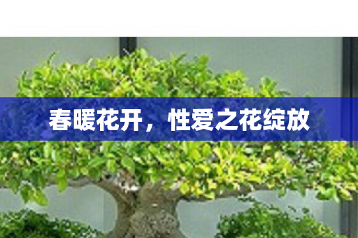 春暖花开，性爱之花绽放