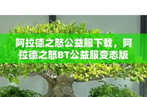 阿拉德之怒公益服下载，阿拉德之怒BT公益服变态版，探索未知世界的奇妙之旅