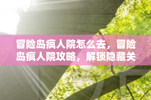 冒险岛疯人院怎么去，冒险岛疯人院攻略，解锁隐藏关卡与神秘道具