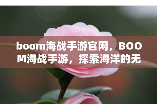 boom海战手游官网，BOOM海战手游，探索海洋的无限可能