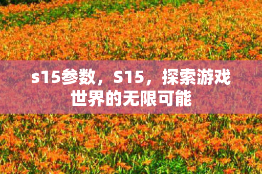 s15参数,S15,探索游戏世界的无限可能 s15参数,S15,探索游戏世界的无限可能