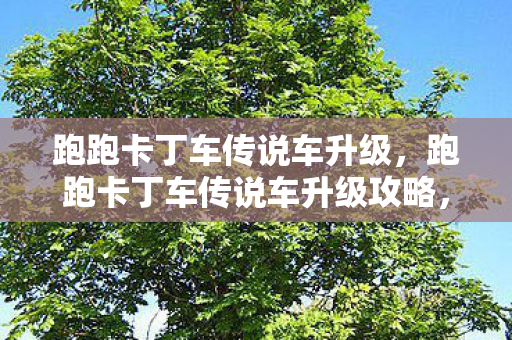 跑跑卡丁车传说车升级,跑跑卡丁车传说车升级攻略,打造你的专属极速传说 跑跑卡丁车传说车升级,跑跑卡丁车传说车升级攻略,打造你的专属极速传说