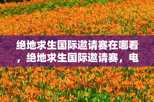 绝地求生国际邀请赛在哪看,绝地求生国际邀请赛,电竞盛宴的荣耀与挑战 绝地求生国际邀请赛在哪看,绝地求生国际邀请赛,电竞盛宴的荣耀与挑战