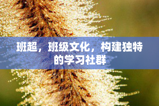 班超,班级文化,构建独特的学习社群 班超,班级文化,构建独特的学习社群
