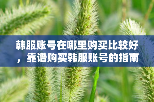 韩服账号在哪里购买比较好,靠谱购买韩服账号的指南 韩服账号在哪里购买比较好,靠谱购买韩服账号的指南