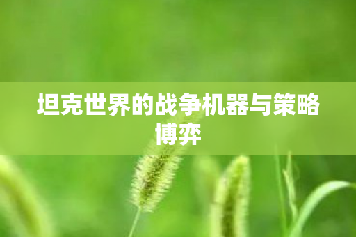 坦克世界的战争机器与策略博弈 坦克世界的战争机器与策略博弈