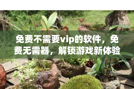 免费不需要vip的软件,免费无需器,解锁游戏新体验 免费不需要vip的软件,免费无需器,解锁游戏新体验