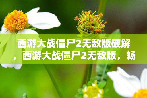西游大战僵尸2无敌版破解,西游大战僵尸2无敌版,畅游奇幻世界的无尽冒险 西游大战僵尸2无敌版破解,西游大战僵尸2无敌版,畅游奇幻世界的无尽冒险