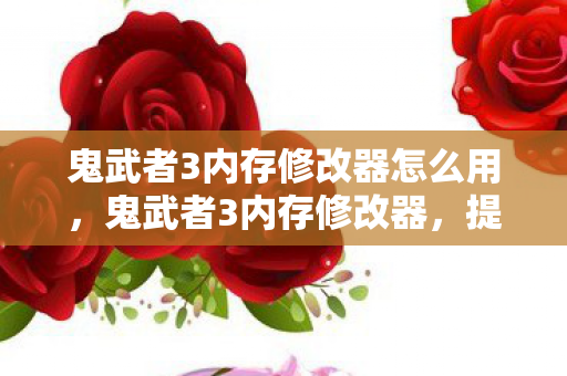 鬼武者3内存修改器怎么用,鬼武者3内存修改器,提升游戏体验的必备工具 鬼武者3内存修改器怎么用,鬼武者3内存修改器,提升游戏体验的必备工具