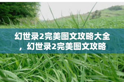 幻世录2完美图文攻略大全,幻世录2完美图文攻略 幻世录2完美图文攻略大全,幻世录2完美图文攻略