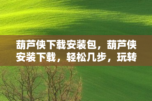 葫芦侠下载安装包,葫芦侠安装下载,轻松几步,玩转应用管理 葫芦侠下载安装包,葫芦侠安装下载,轻松几步,玩转应用管理