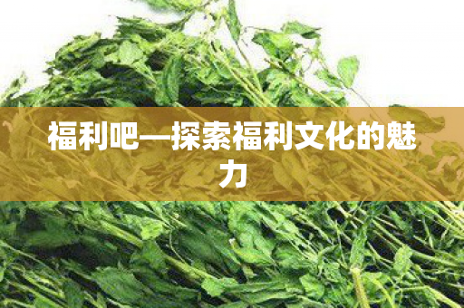 福利吧—探索福利文化的魅力 福利吧—探索福利文化的魅力