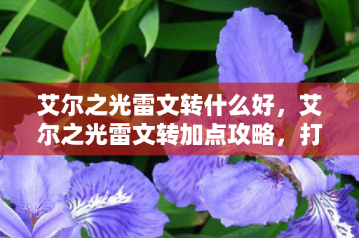 艾尔之光雷文转什么好,艾尔之光雷文转加点攻略,打造最强战斗法师 艾尔之光雷文转什么好,艾尔之光雷文转加点攻略,打造最强战斗法师