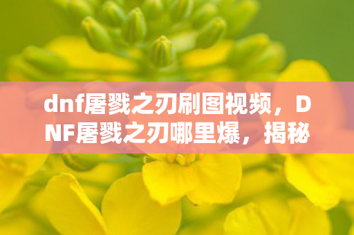 dnf屠戮之刃刷图视频，DNF屠戮之刃哪里爆，揭秘官方途径与高效刷取策略