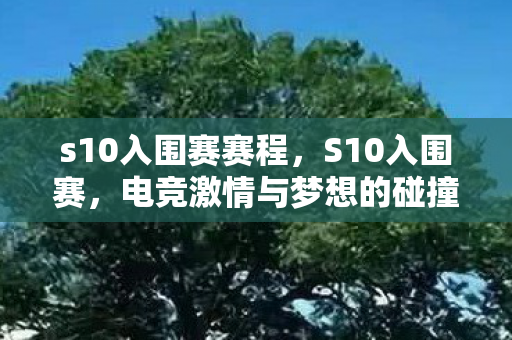 s10入围赛赛程,S10入围赛,电竞激情与梦想的碰撞 s10入围赛赛程,S10入围赛,电竞激情与梦想的碰撞