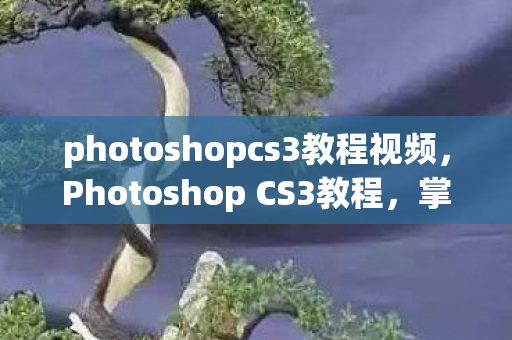 photoshopcs3教程视频,Photoshop CS3教程,掌握经典工具,打造专业设计 photoshopcs3教程视频,Photoshop CS3教程,掌握经典工具,打造专业设计