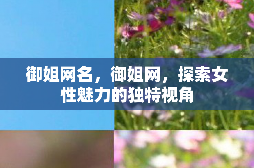 御姐网名,御姐网,探索女性魅力的独特视角 御姐网名,御姐网,探索女性魅力的独特视角
