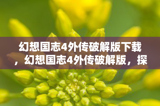 幻想国志4外传破解版下载,幻想国志4外传破解版,探索未知世界的奇幻之旅 幻想国志4外传破解版下载,幻想国志4外传破解版,探索未知世界的奇幻之旅