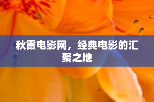 秋霞电影网,经典电影的汇聚之地 秋霞电影网,经典电影的汇聚之地