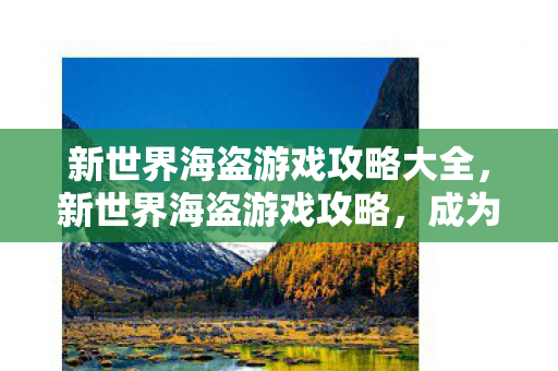 新世界海盗游戏攻略大全，新世界海盗游戏攻略，成为海上霸主的策略与技巧