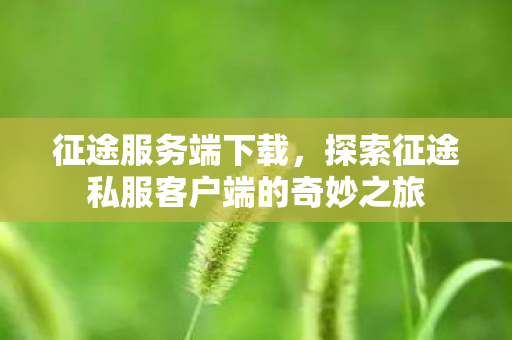 征途服务端下载,探索征途私服客户端的奇妙之旅 征途服务端下载,探索征途私服客户端的奇妙之旅