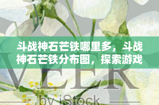 斗战神石芒铁哪里多，斗战神石芒铁分布图，探索游戏中的珍贵资源