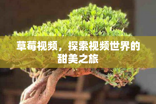 草莓视频,探索视频世界的甜美之旅 草莓视频,探索视频世界的甜美之旅