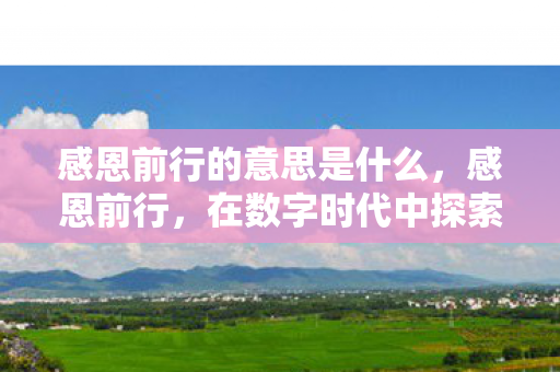 感恩前行的意思是什么,感恩前行,在数字时代中探索与成长 感恩前行的意思是什么,感恩前行,在数字时代中探索与成长